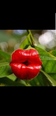 aPkuGBK3kCaXtLZ's profile picture. фитнес тренер