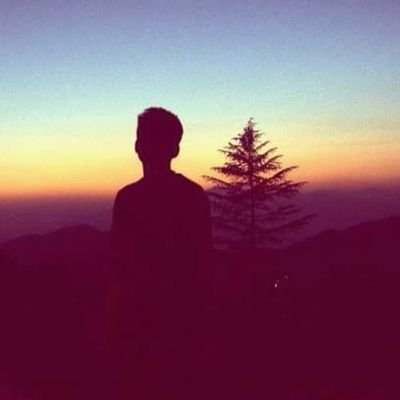 sipuwildlife's profile picture. 