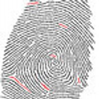 Internet & Privacy (@internetprivacy) 's Twitter Profile