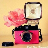 Haylz Rose Photography (@haylzrose27) 's Twitter Profile