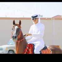عبدالرحمن ال شميله🎖. (@n7_181) 's Twitter Profile