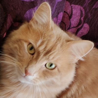 __DavidMiles's profile picture. 