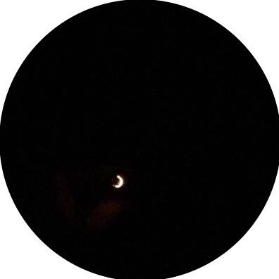 mf_threal's profile picture. 