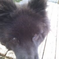 imaginator01 (@imaginator01) 's Twitter Profile