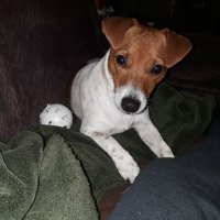Mary MAC (@ggcalwel) 's Twitter Profile