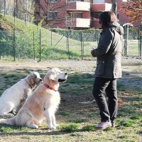𝓡𝓸𝓼𝓲🇪🇺🇺🇦🎗️ (@giotto0412) 's Twitter Profile