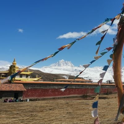 ppf157157's profile picture. 自用VPN。多年使用无槽点https://t.co/GxiwL4C4lI