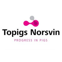 Topigs Norsvin Argentina(@TopigsNorsvinAR) 's Twitter Profile Photo