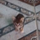 Jane  Pinto Bastide - @BastideJane - Twitter