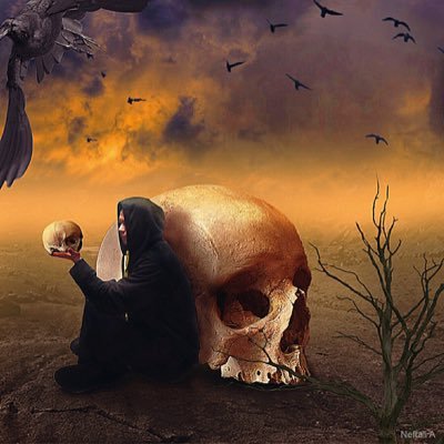 Neftaliphotos's profile picture. 