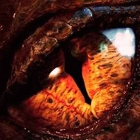 rykzero's profile picture. me gusta el anime, videojuegos, la cultura gotica, deportes extremos aunque no los practico y conocer el mundo