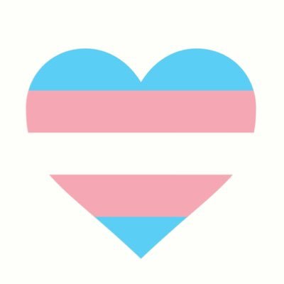 Your faves say trans rights!! 💙💖⚪️💖💙 DM me for requests!! Check who I follow for profiles of trans hotlines, organizations, news sources & more ♥️