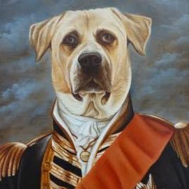 polidogs's profile picture. Todo lo que sucede aquí está inspirado en lo que sucede en la cabeza de estos perros.