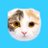 モフコ@猫写真集発売中のアイコン