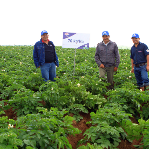 JoseLui24561068's profile picture. 