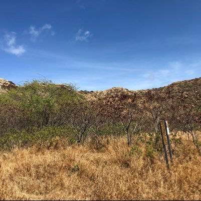 miraihakokokara's profile picture. 🌈たのしい❤️カワイイ🥰しあわせ。