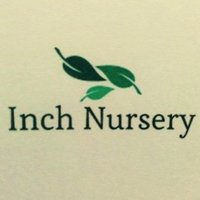 Inch Nursery (@inchnursery) 's Twitter Profile