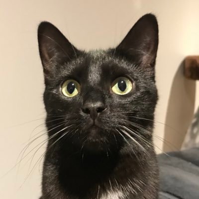 RobRunsUpStuff's profile picture. 