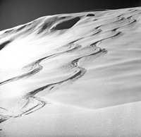 ssvbuyerasst's profile picture. 