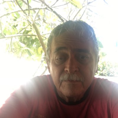 ArmandodaCunha4's profile picture. Agricultor aposentado