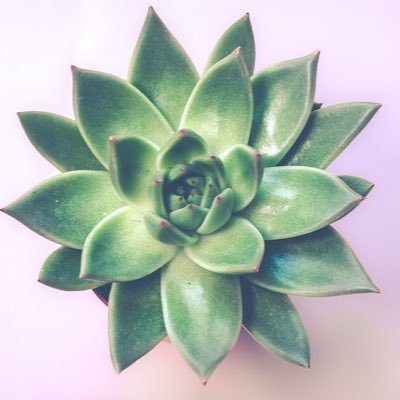 MmeCool's profile picture. Enseignante au primaire 🍏