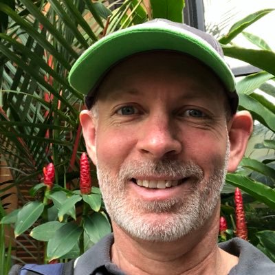 MattKealley's profile picture. 