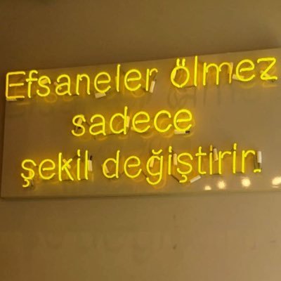 tiktokcok's profile picture. 