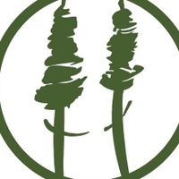 Redwoods Treewalk (@treewalknz) 's Twitter Profile