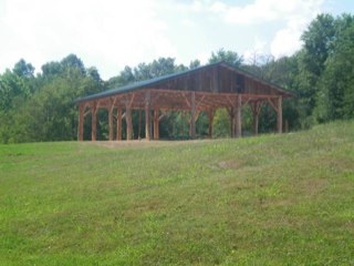 yellowwolley's profile picture. 