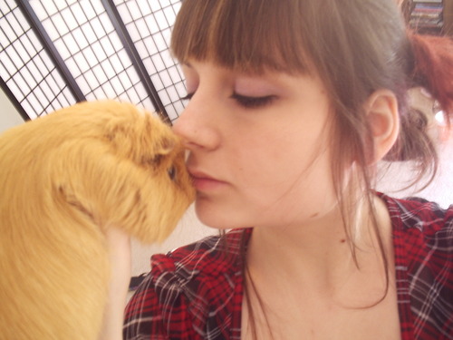 recalcitrantrae's profile picture. 