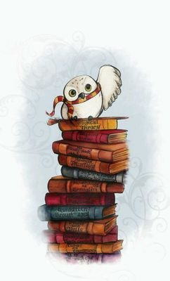 ZoCarpenter18's profile picture. 