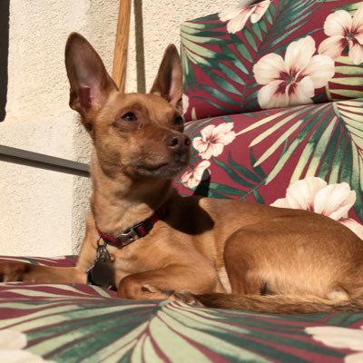 caryn15381's profile picture. Mother/Officer/writer/thespian/hopefultarian; in that order and make no mistake!