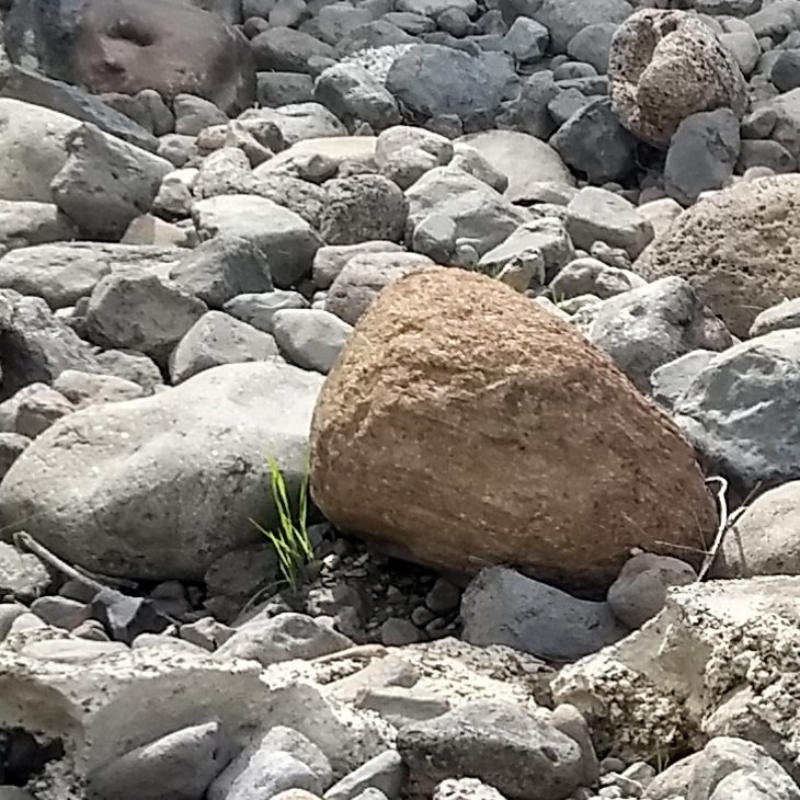 workingsmart's profile picture. 