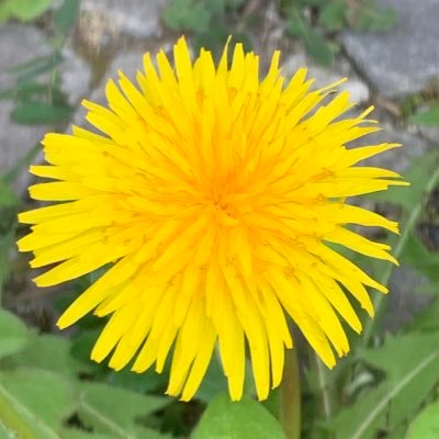 oazqKLpac6INuti's profile picture. 