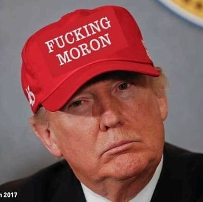 Trump Voter ๐บ๐ธ