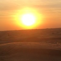 Jun Motomiya (@ob_radacala) 's Twitter Profile Photo