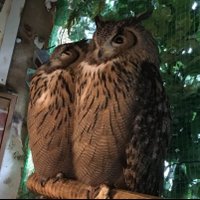 alessandoro (@fumizeki1970) Twitter profile photo