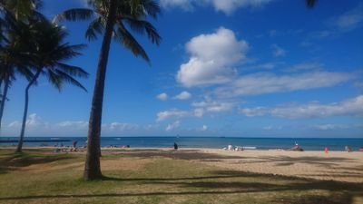 yhmMpZX4EA0X69H's profile picture. 奴は罪深い男だ…。