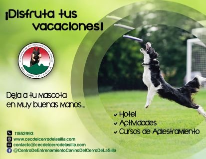 CENTRO DE ENTRENAMIENTO CANINO DEL CERRO DE LA SILLA, ofrece los mejores servicios para tu mascota, como entrenamiento, protección, hospedaje, entre otros.
