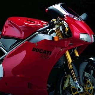 WooleyBully's profile picture. ducati motorcycles ~ bernese mountain dogs ~ tibetan mastiffs ~ print ~ design ~ mail ~ banners ~ wall graphics ~ signs