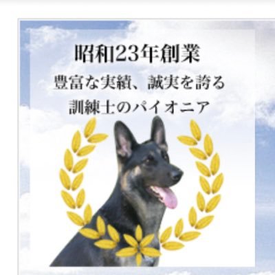 京都市山科区にあるライトマン京都警察犬・家庭犬訓練所です。小型犬から大型犬の無駄吠え、噛み癖、ひっぱり癖などでお悩みの飼い主さんと愛犬が快適に生活できるように、しつけや訓練のお手伝いをさせて頂いています。犬のしつけでお悩みの方、お気軽にご相談下さい😊🎶