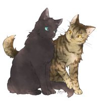 베레옹 (@bertandleon) 's Twitter Profile Photo 베레옹 (@bertandleon) 's Twitter Profile Photo