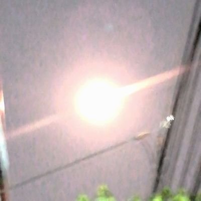 Tleele2's profile picture. 