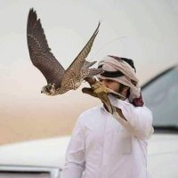 النـــــــــايف (@_w55_) 's Twitter Profile Photo النـــــــــايف (@_w55_) 's Twitter Profile Photo