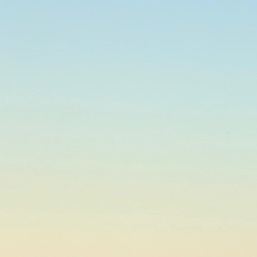 lexmacmillan's profile picture. 