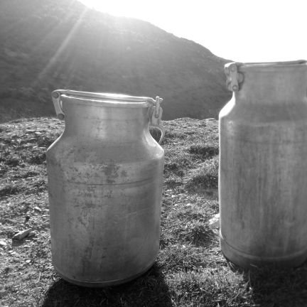 Del Clot als Pirineus. Sobrevivint amb cabres i formatgeria. Si no es pastura, no és la nostra revolució. Neorurals amb el cap ben alt. Aprenent cada dia.