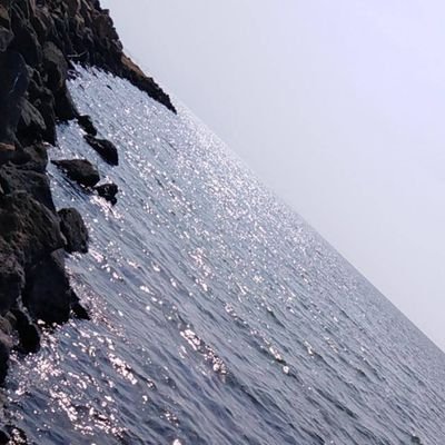 u66g0X2ySDxcEif's profile picture. 