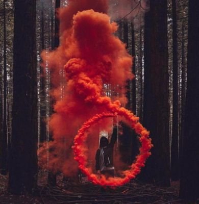 TOOMMAM1's profile picture. 