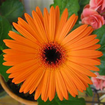 PaoloAicstur's profile picture. Operatore Turistico