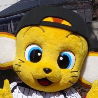 阪神/阪神タイガース/hanshin/Tigers/